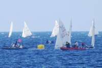 Warnemünder Woche Regatta