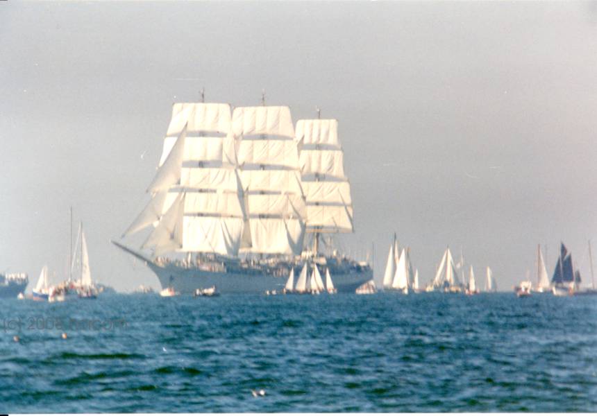 Regatta Gro?segler